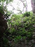 斎場8